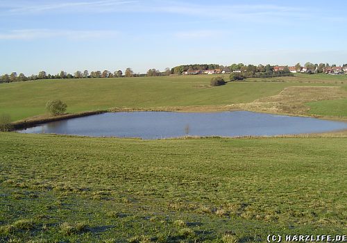 Alter Wasserläufer Teich bei ClausthalZellerfeld im Harz
