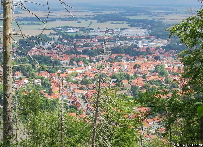 Aussicht vom Meineberg auf Ilsenburg und das nördliche Harzvorland