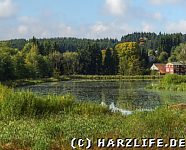 Ausblick zum Eulenspiegler Teich