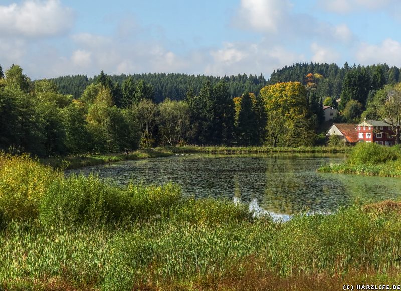 Ausblick zum Eulenspiegler Teich