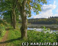 Wanderweg am Nordostufer