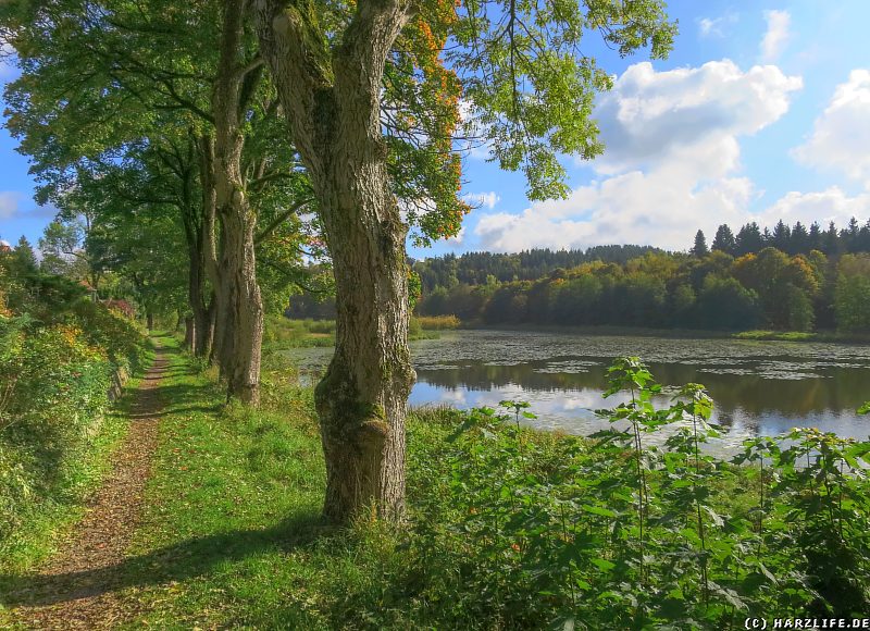 Wanderweg am Nordostufer