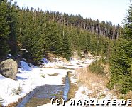 Der Forstmeister-Sietz-Weg im Winter