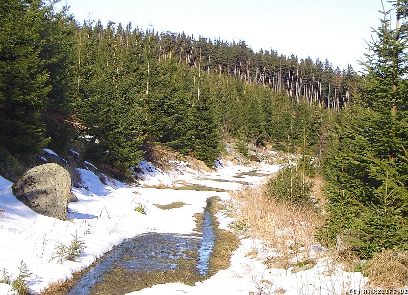 Der Forstmeister-Sietz-Weg im Winter