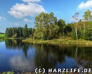 Strand und Wiese am Langer Teich