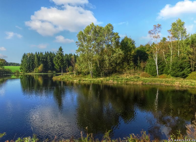 Strand und Wiese am Langer Teich