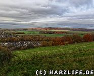 Aussicht auf das nördliche Harzvorland