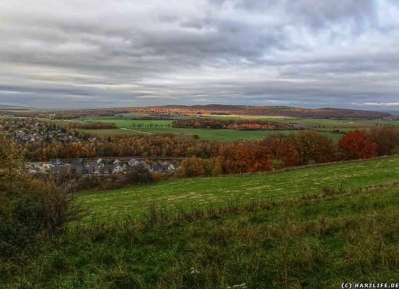 Aussicht auf das nördliche Harzvorland