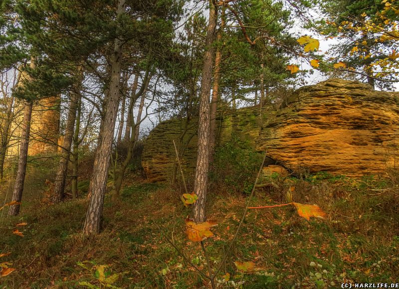 Die Sandsteinklippen auf dem Sudmerberg