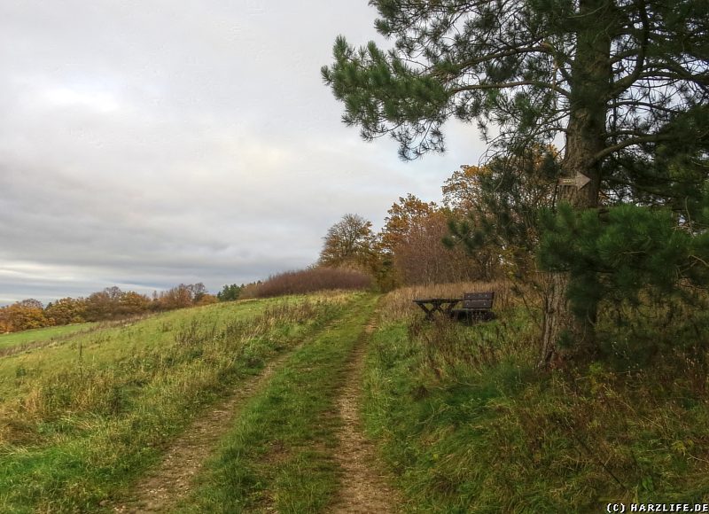 Ein Rastplatz auf dem Sudmerberg