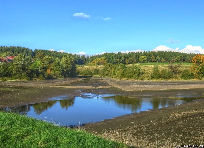 Blick auf die alten Teichdämme im leeren Unteren Eschenbacher Teich