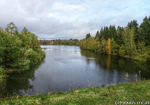 Der Untere Pfauenteich bei Clausthal-Zellerfeld im Harz