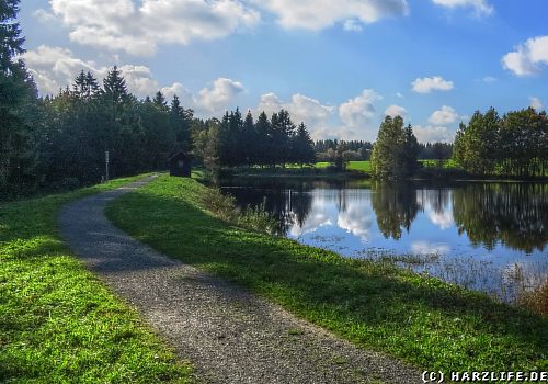 wandern im Harz - Clausthaler Teiche