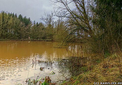 Der Beberteich bei Barbis Am Beberteich