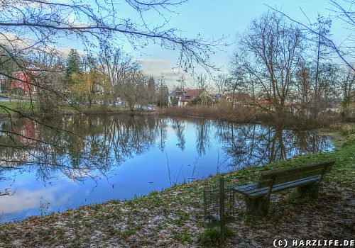 Der Frankenberger Teich