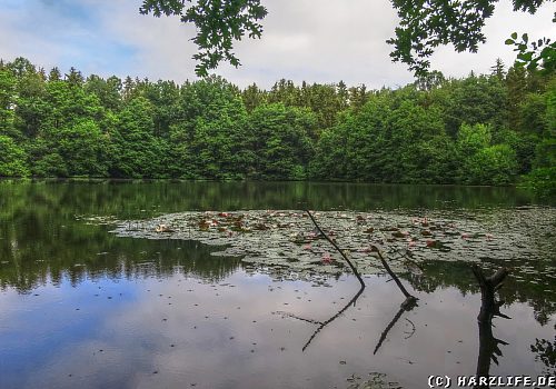 Das Große Seeloch - Erdfall mit Erdfallsee bei Hochstedt