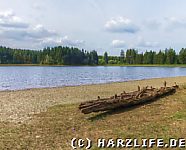 Strand am Kiefhölzer Teich