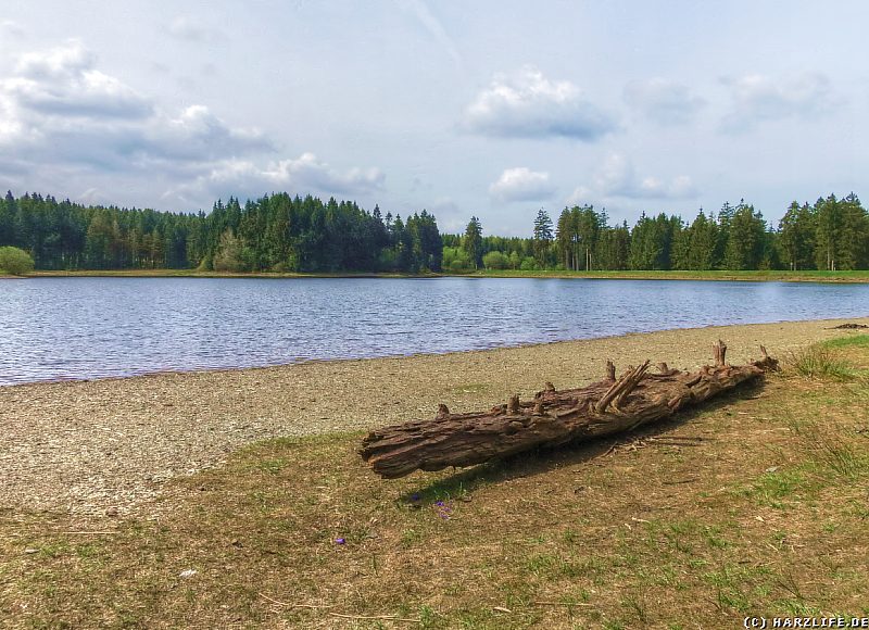 Badestrand am Kiefhölzer Teich