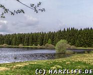 Strand am Zankwieszer Teich