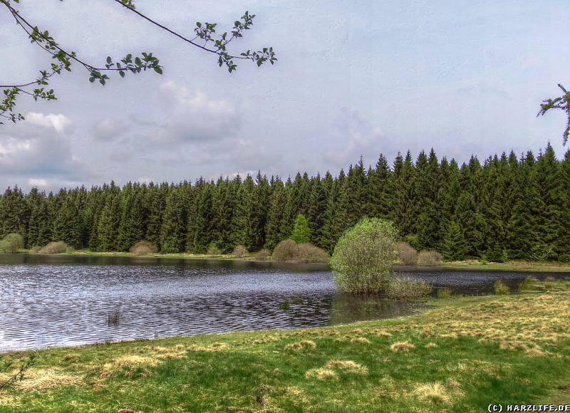 Badestrand am Zankwieser Teich