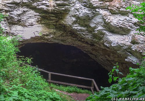 Die Kelle bei Appenrode