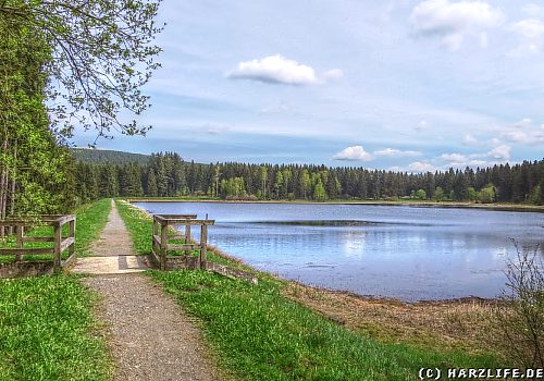 Der Kiefhölzer Teich