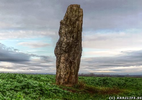 Der Menhir bei Benzingerode