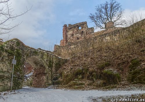 Blick auf die Burgruine