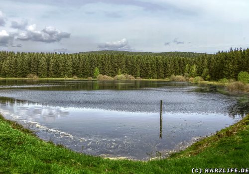 Der Zankwieser Teich