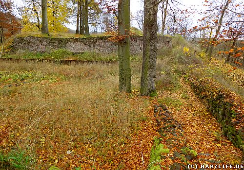 Burgruine Ilburg in Ilfeld