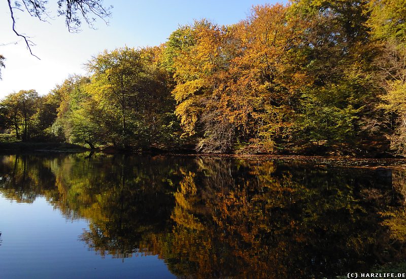 Der Große Hasenteich