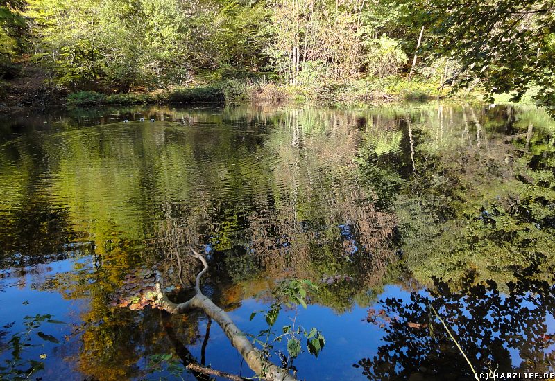 Der Kleine Hasenteich