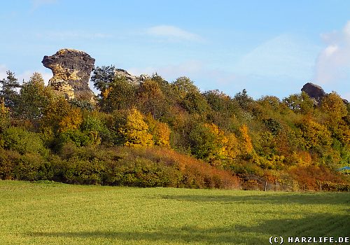 Wegen seiner markanten Form wird der Königstein auch Kamelfelsen genannt.