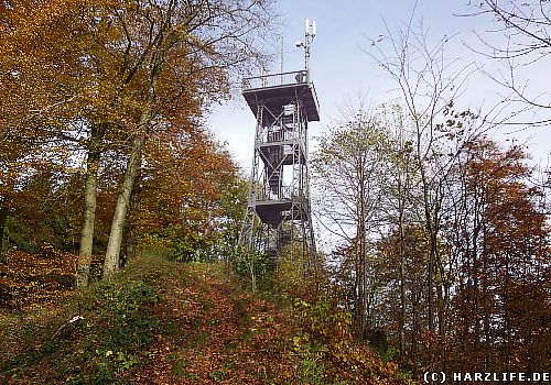 Die Kuckholzklippe mit Aussichtsturm Die Kuckholzklippe