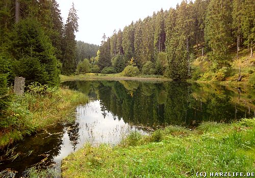 Teiche im Harz Der Langeteich bei ClausthalZellerfeld Teil des