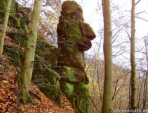 Der Mönch bei Ilfeld