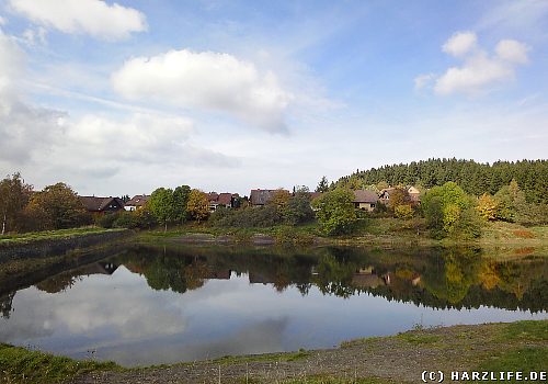 Der Obere Eschenbacher Teich in ClausthalZellerfeld im Harz