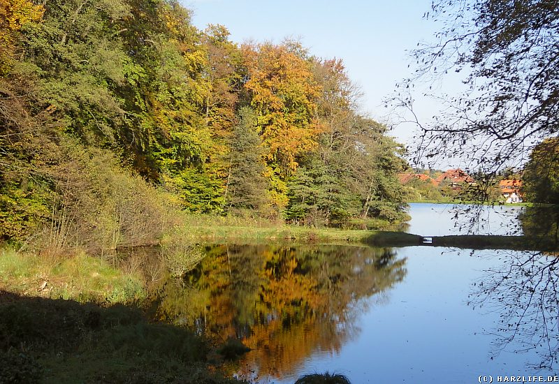 Der Obere Große Silberteich