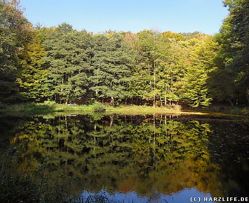 Der Silberhüttenteich