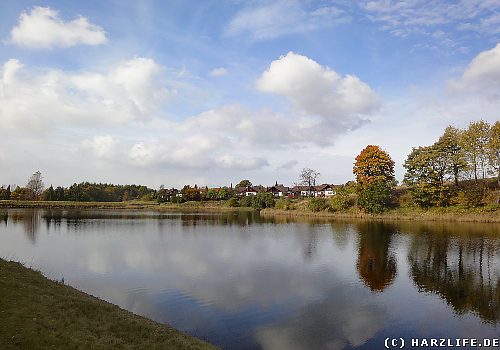 Um ausreichend Reservestauraum für mögliche Hochwasser zur Verfügung zu haben, ist der Untere Eschenbacher Teich normalerweise nie ganz gefüllt. Unterer Eschenbacher Teich