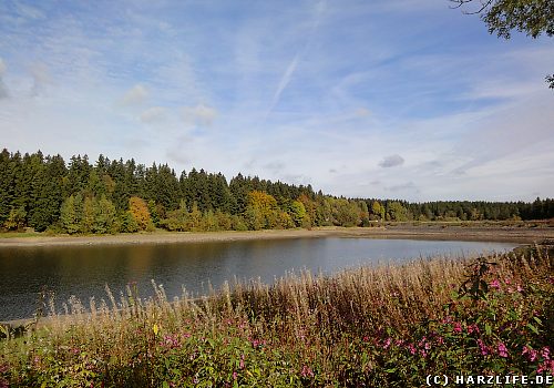Der Untere HausHerzberger Teich in ClausthalZellerfeld im Harz