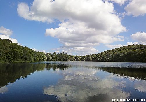 Der Vatteröder Teich