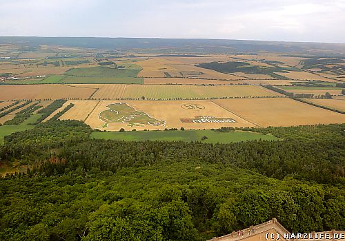 Bodenbilder am Kyffhäuser