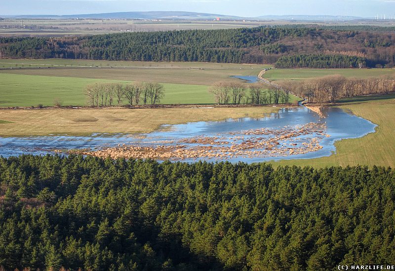 Goldbach mit Hochwasser