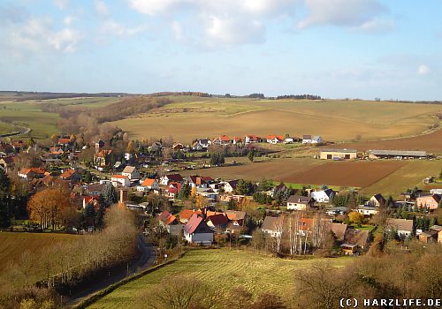 Blick auf Harkerode