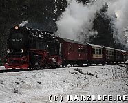 Harzquerbahn bei Drei Annen Hohne