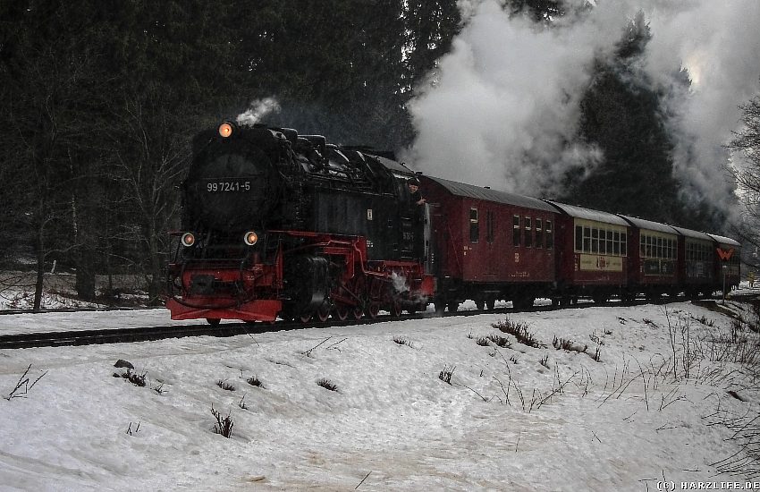 Harzquerbahn bei Drei Annen Hohne