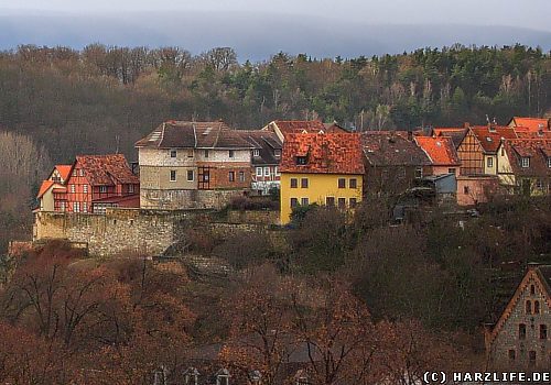 Der Münzenberg in Quedlinburg