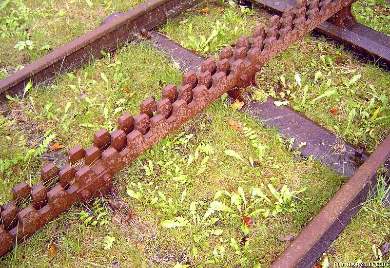 Eisenbahngleis mit Zahnstangen