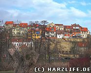 Blick zum Münzenberg